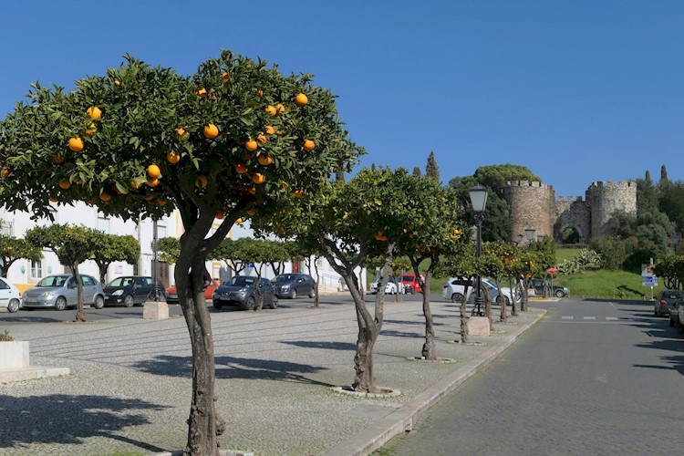 Garden of Vila Viçosa Castle